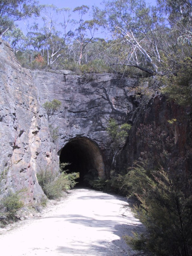 Glowworm Cave (almost)