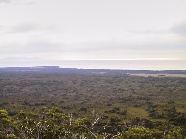 So unusual to see bushland without any human artifacts.   We're looking towards Stumpys Bay here.