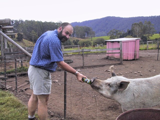 Feeding a bottle of Boag's to the boar, at the Pub in the Paddock.