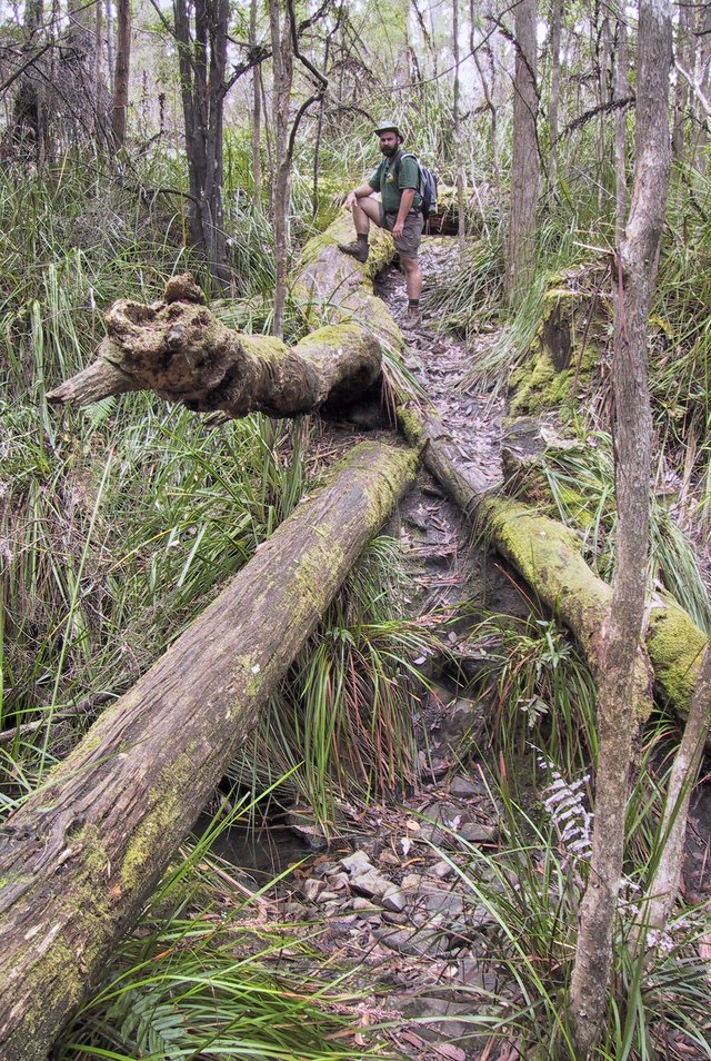 Chris and the track.  And the log and the weird lily things.