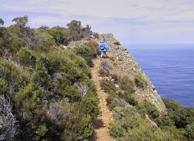 Track at Cape Raoul