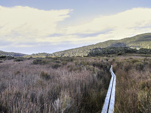 Once again, we didn't encounter anyone else on this 11km track