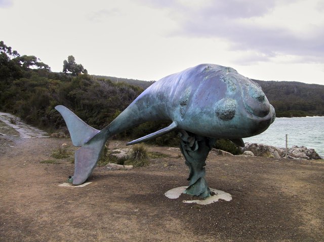 Cockle Bay, Tasmania