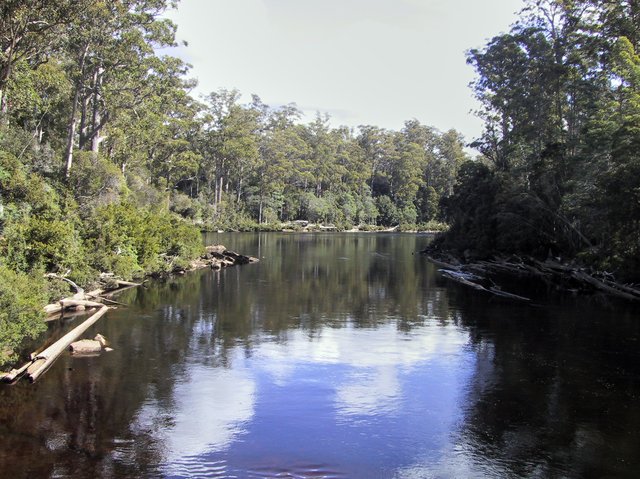 The rivers are the color of Coke, apparently due to the high amounts of tannins