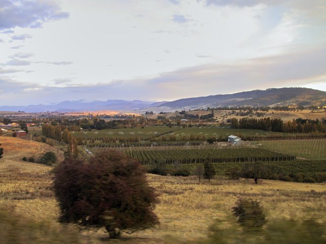 Near Glenora, Tasmania