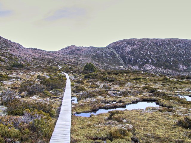 Boardwalk