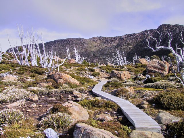 Boardwalk