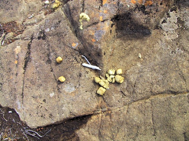 They boo little charcoal briquets on top of rocks.