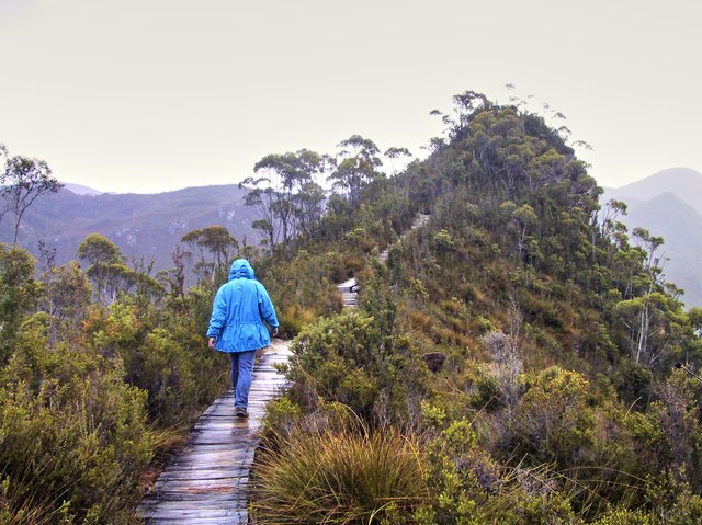 Donaghy's Lookout (of Frenchmans Cap)