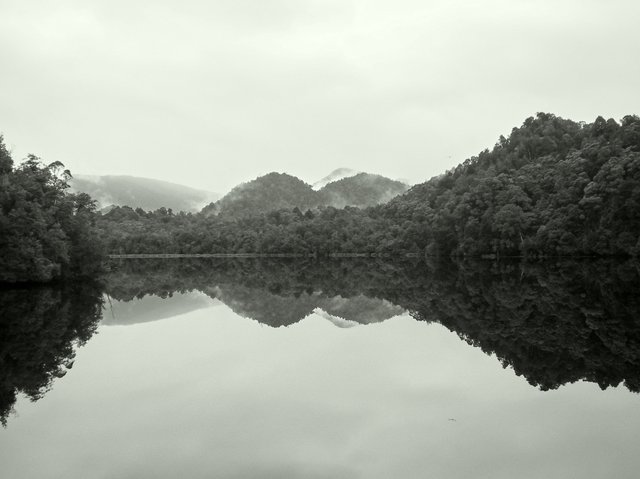 Tasmania's west coast.