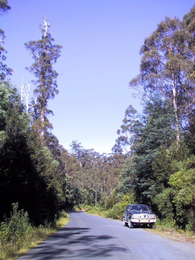 Odometer 90009, 2km W Arthur River, southwest of Smithton, Tasmania