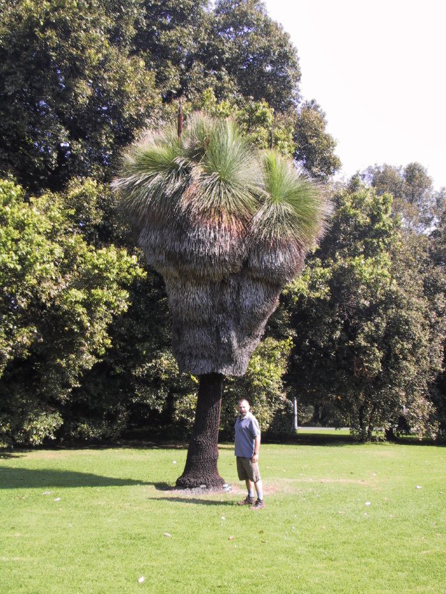 Melbourne Botanical Gardens