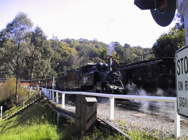 Dandenong Ranges NP