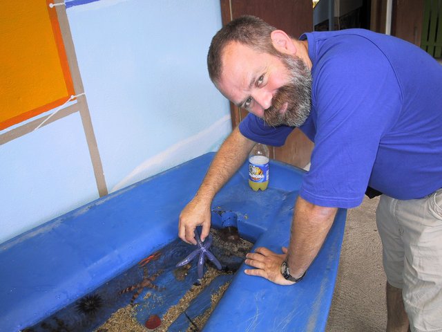 Noumea Aquarium... a purple starfish!