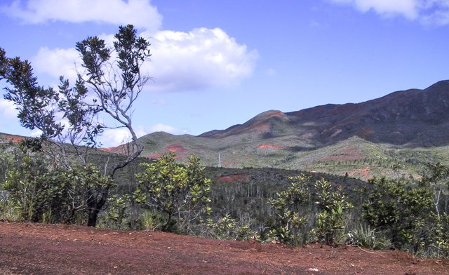 The soils turn very odd shortly after leaving Noumea