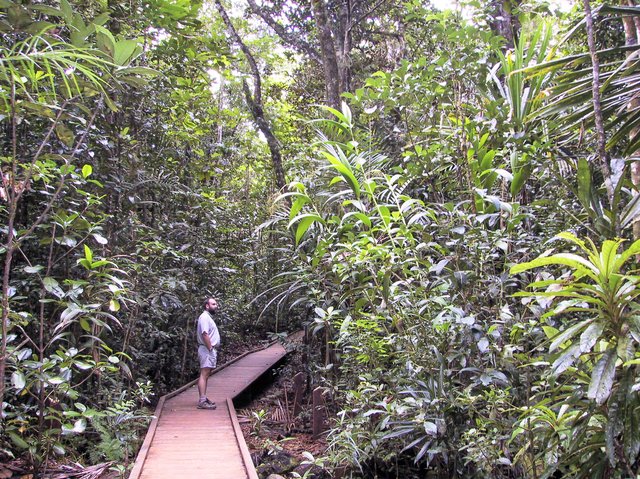 Gran Kaori Nature Walk