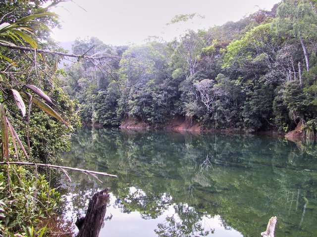 Gran Kaori Nature Walk