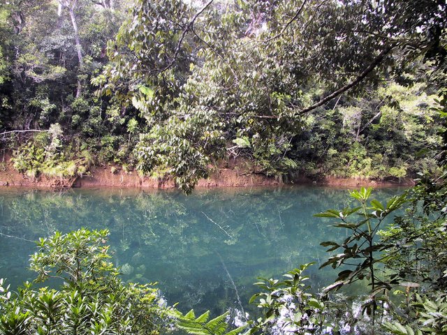 Gran Kaori Nature Walk