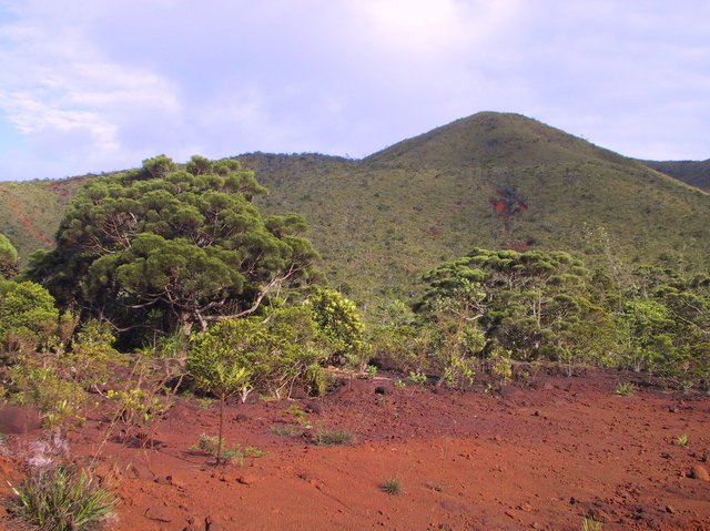 More strange landscape