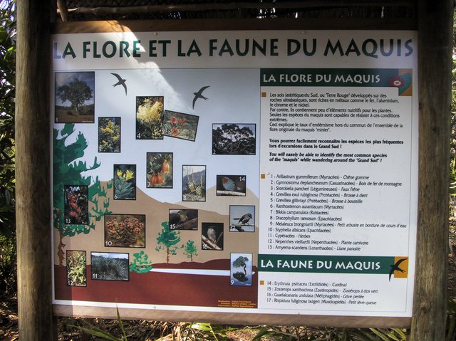 Flora and fauna of the maquis