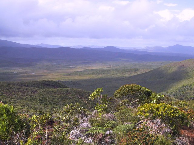 On the way back to Noumea