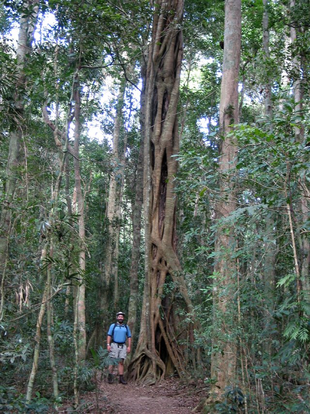 Dave's Creek Bushwalk