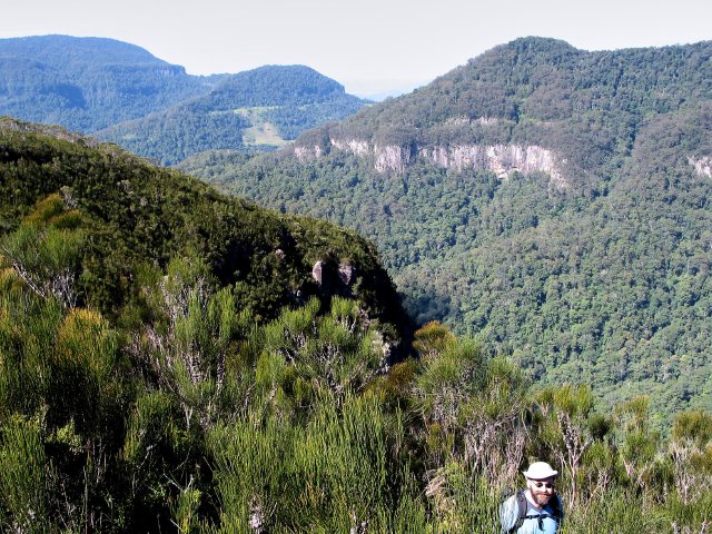 Dave's Creek Bushwalk