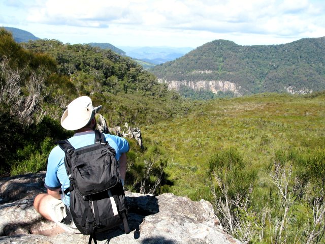 Dave's Creek Bushwalk