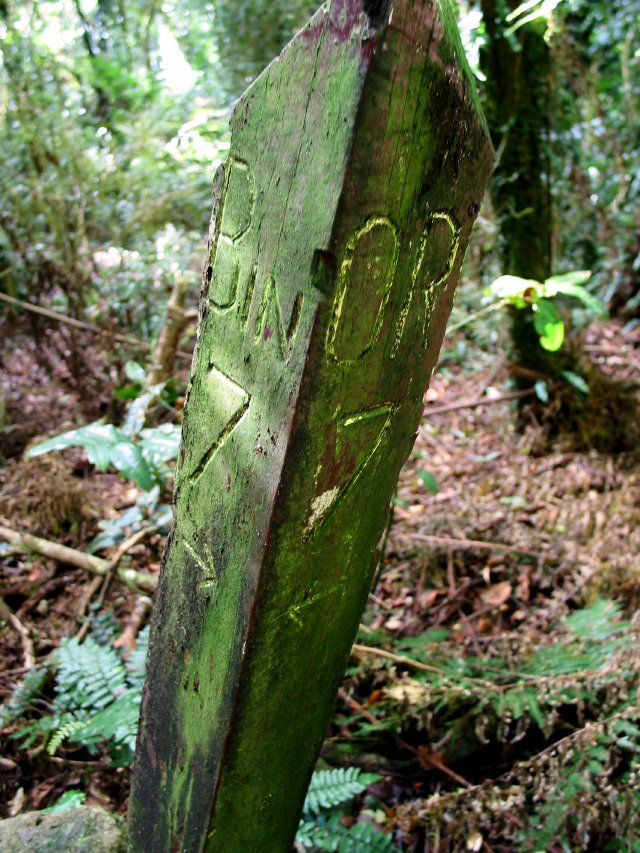 Along the Border Track