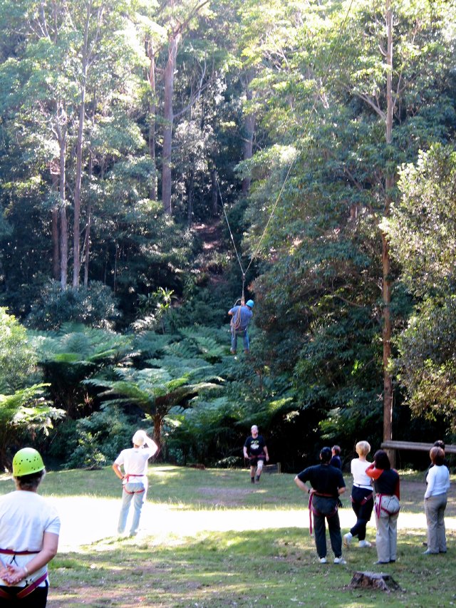 Flying fox