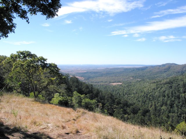 Bunya Mtns view