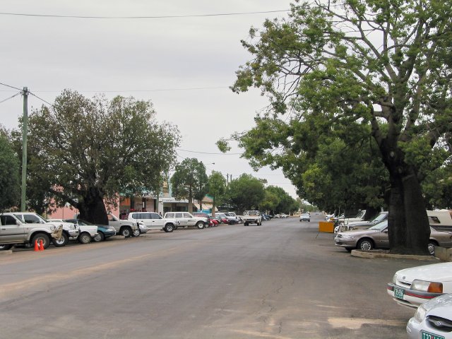 Bottle Tree Ave, Roma, QLD