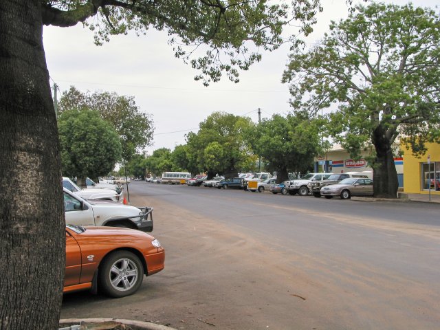 Bottle Tree Ave, Roma, QLD