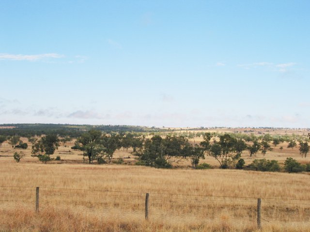 Countryside towards Injune, QLD