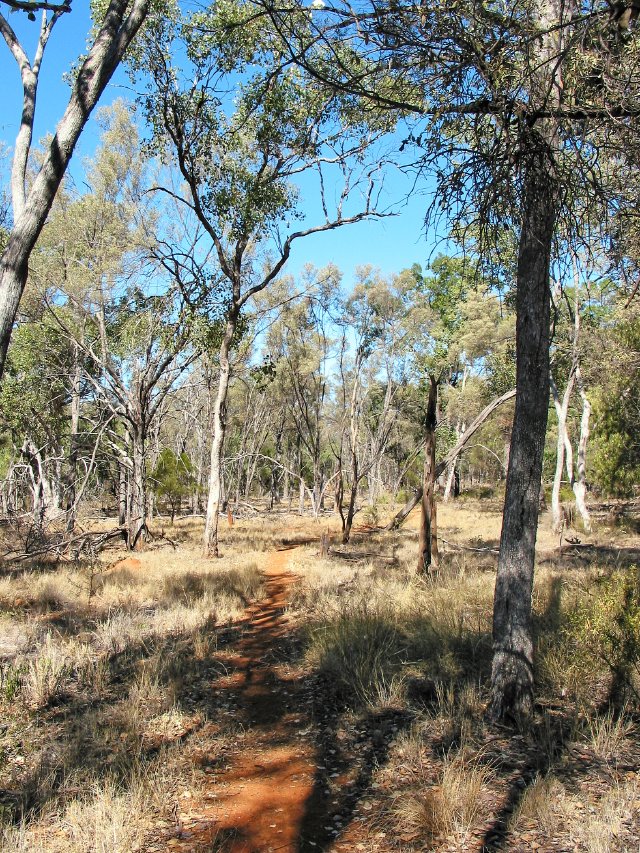 Tregole NP, Morven QLD