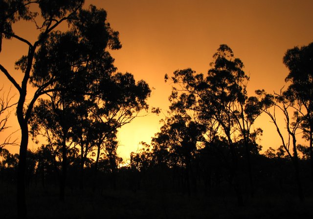 Sunset, Drummond QLD