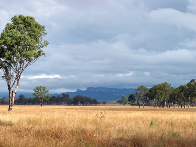 Near Carnarvon Gorge QLD