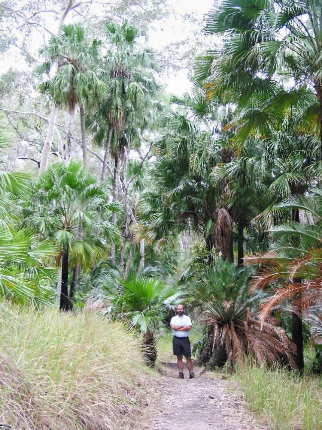 Nature Trail, Carnarvon Gorge NP QLD