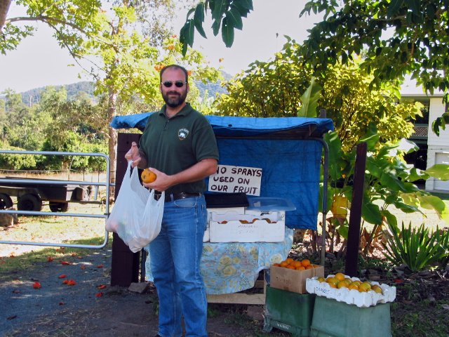 Fruit stand