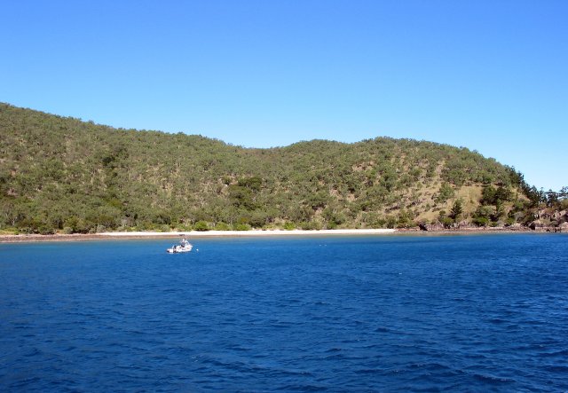 Blue Pearl Bay, Hayman Island