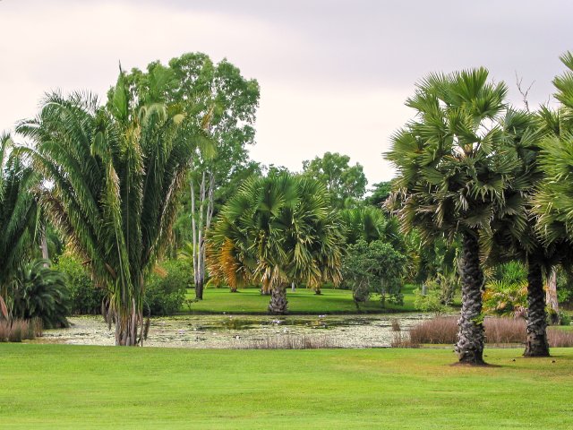 Palmetum, Townsville