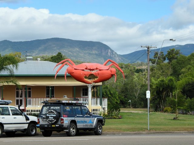 Cardwell Big Crab, QLD