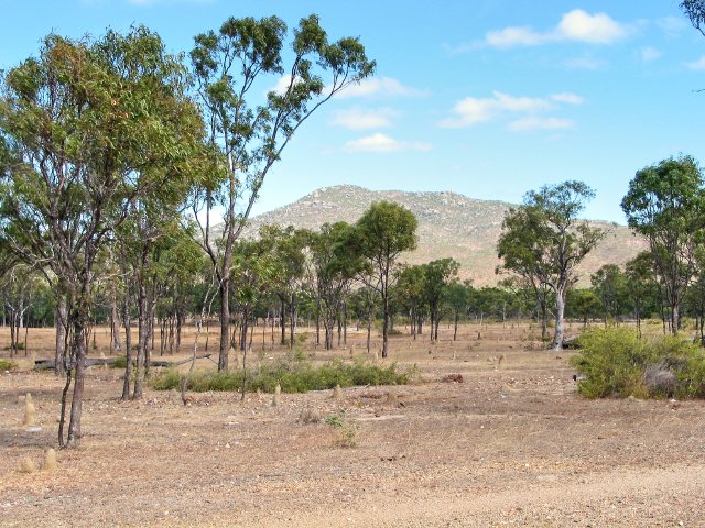 Mt Molloy Termite Mounds