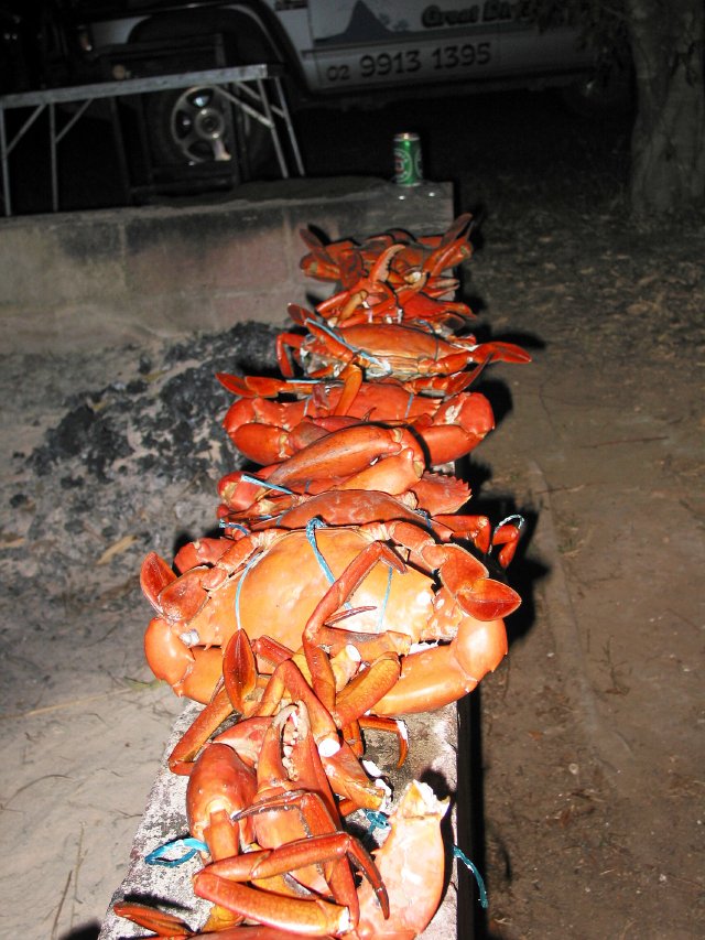 Lined up for cooking