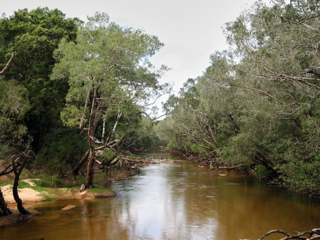 Wenlock River