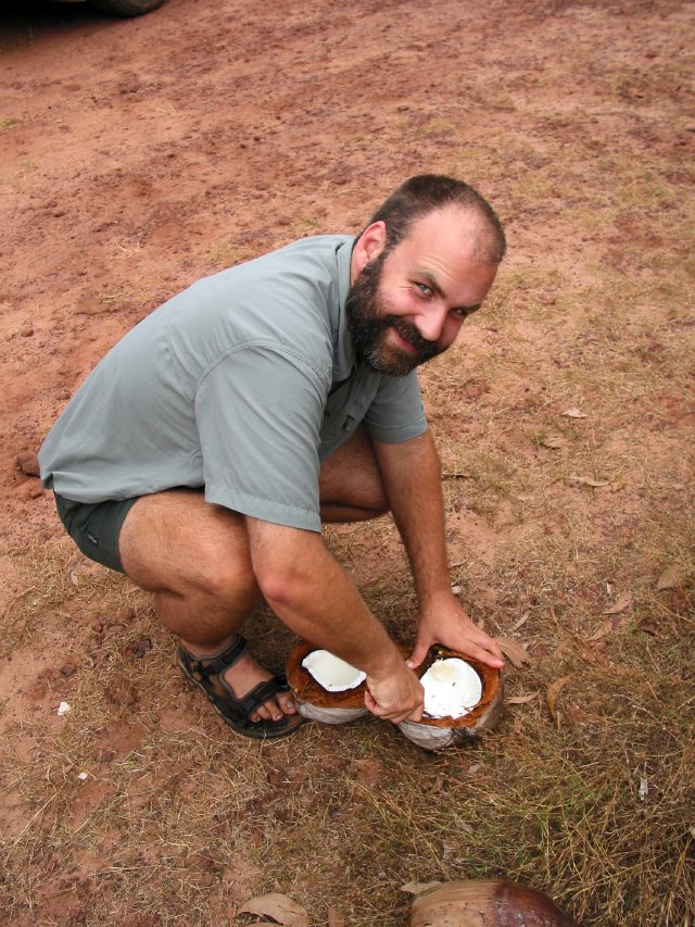 Coconuts