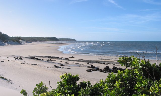 Beach N of Capt Billy's