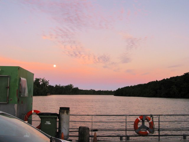 Daintree River Ferry