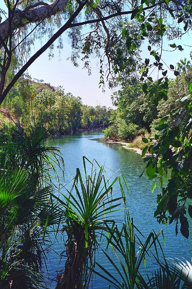 Billabong, Lawn Hill NP