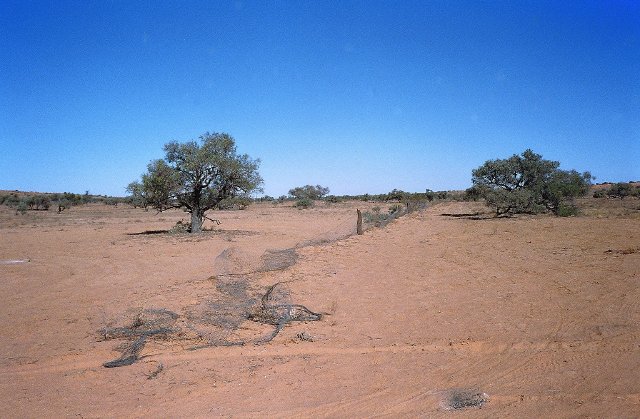 Aussie eco-engineering failure